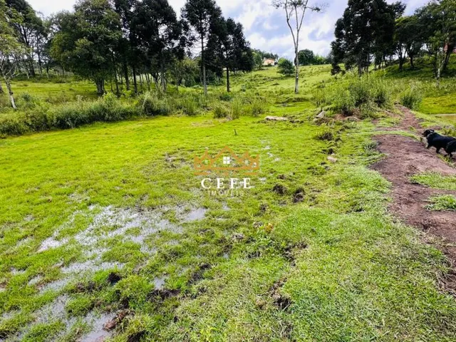 Imagem 4: Chácara Sítio com 2 Dormitorio(s) localizado(a) no bairro Serra Grande em Três Coroas