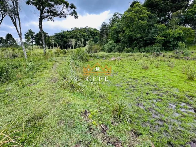 Imagem 5: Chácara Sítio com 2 Dormitorio(s) localizado(a) no bairro Serra Grande em Três Coroas