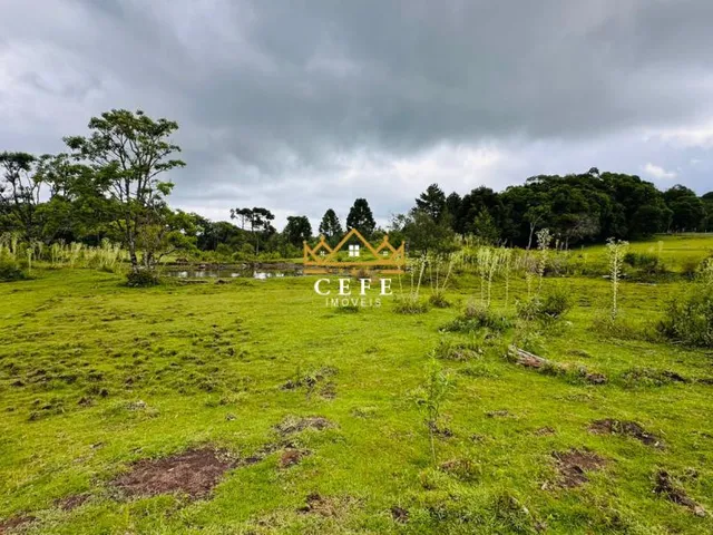 Imagem 7: Chácara Sítio com 2 Dormitorio(s) localizado(a) no bairro Serra Grande em Três Coroas