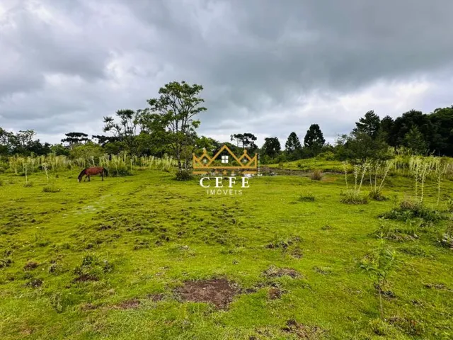 Imagem 10: Chácara Sítio com 2 Dormitorio(s) localizado(a) no bairro Serra Grande em Três Coroas