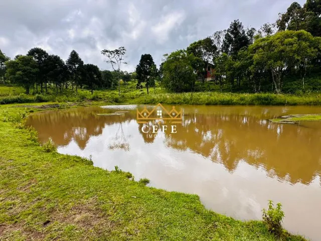 Imagem 11: Chácara Sítio com 2 Dormitorio(s) localizado(a) no bairro Serra Grande em Três Coroas