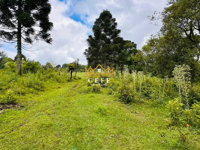 Imagem 15: Chácara Sítio com 2 Dormitorio(s) localizado(a) no bairro Serra Grande em Três Coroas