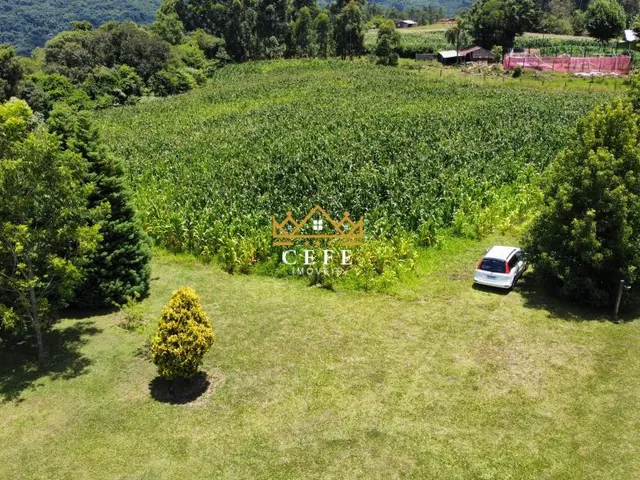 Imagem 3: Sítio em Nova Renânia, Santa Maria do Herval - Venda