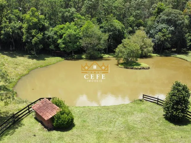 Imagem 11: Sítio em Nova Renânia, Santa Maria do Herval - Venda
