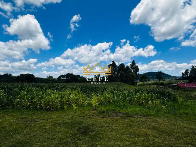 Imagem 13: Sítio em Nova Renânia, Santa Maria do Herval - Venda