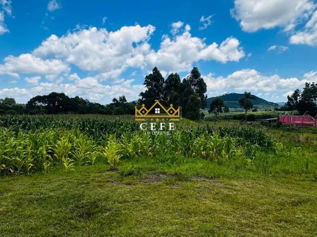 Imagem 14: Sítio em Nova Renânia, Santa Maria do Herval - Venda