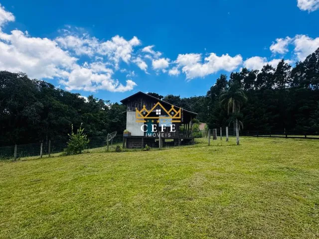 Imagem 15: Sítio em Nova Renânia, Santa Maria do Herval - Venda