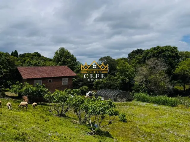 Imagem 3: SÍTIO À VENDA EM SERRA GRANDE - TRÊS COROAS