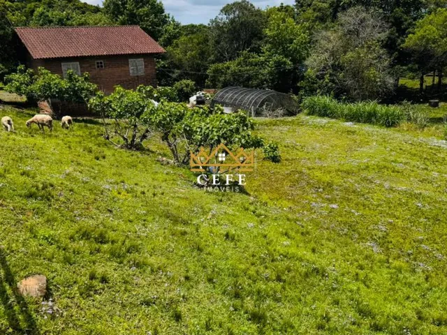 Imagem 4: SÍTIO À VENDA EM SERRA GRANDE - TRÊS COROAS