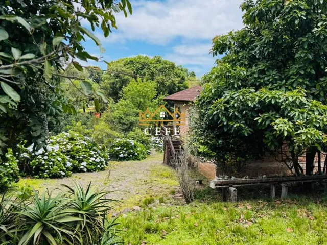 Imagem 5: SÍTIO À VENDA EM SERRA GRANDE - TRÊS COROAS