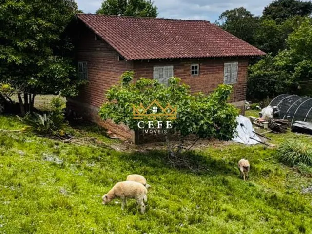 Imagem 6: SÍTIO À VENDA EM SERRA GRANDE - TRÊS COROAS