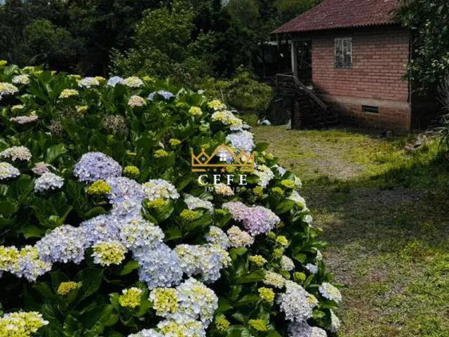Imagem 7: SÍTIO À VENDA EM SERRA GRANDE - TRÊS COROAS