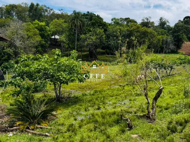 Imagem 8: SÍTIO À VENDA EM SERRA GRANDE - TRÊS COROAS