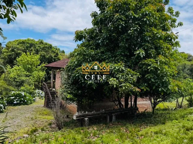 Imagem 9: SÍTIO À VENDA EM SERRA GRANDE - TRÊS COROAS