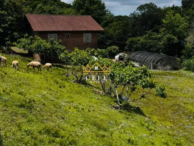 Imagem 10: SÍTIO À VENDA EM SERRA GRANDE - TRÊS COROAS