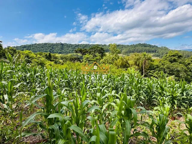 Imagem: Sítio para venda em Três Coroas - Serra