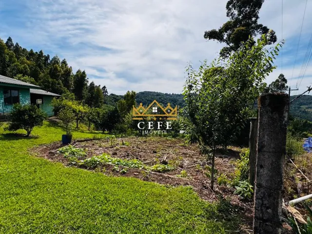 Imagem 8: Sítio/Chácara á venda em Santa Maria do Herval/RS