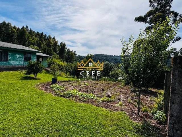 Imagem 9: Sítio/Chácara á venda em Santa Maria do Herval/RS