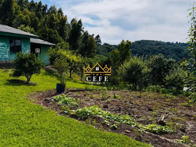 Imagem 10: Sítio/Chácara á venda em Santa Maria do Herval/RS