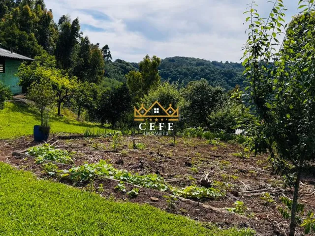 Imagem 11: Sítio/Chácara á venda em Santa Maria do Herval/RS