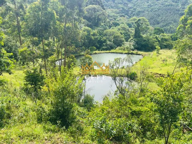 Imagem 13: Sítio/Chácara á venda em Santa Maria do Herval/RS
