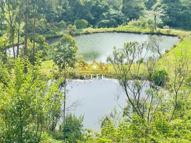 Imagem 14: Sítio/Chácara á venda em Santa Maria do Herval/RS