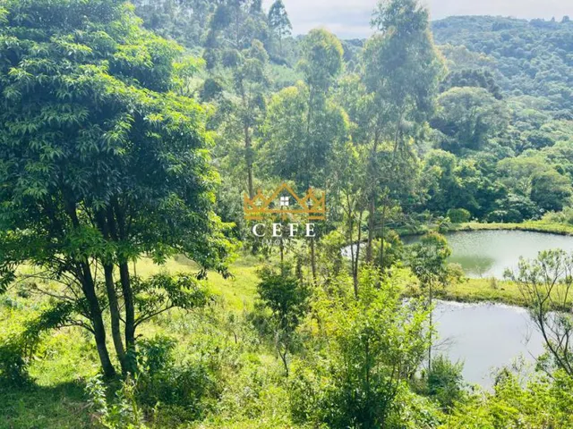 Imagem 15: Sítio/Chácara á venda em Santa Maria do Herval/RS
