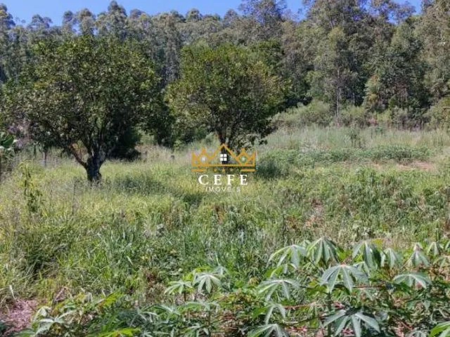 Imagem 2: Chácara à venda em Araricá, Zona Rural - Imperdível!