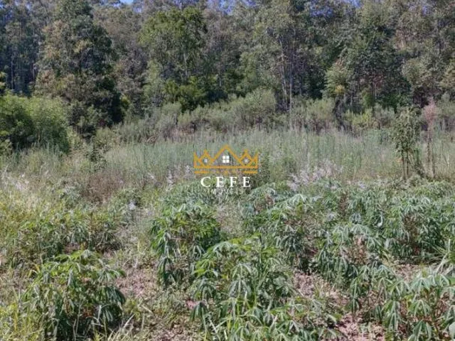 Imagem 4: Chácara à venda em Araricá, Zona Rural - Imperdível!