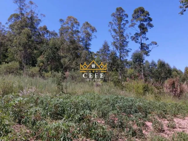 Imagem 5: Chácara à venda em Araricá, Zona Rural - Imperdível!