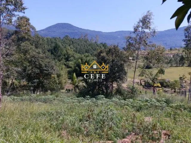 Imagem 6: Chácara à venda em Araricá, Zona Rural - Imperdível!