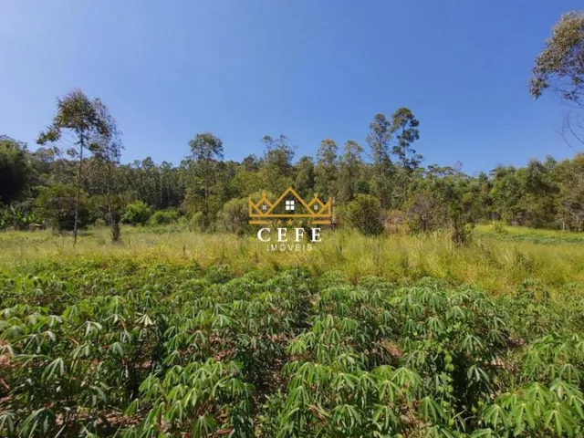 Imagem 8: Chácara à venda em Araricá, Zona Rural - Imperdível!
