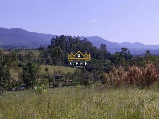 Imagem 10: Chácara à venda em Araricá, Zona Rural - Imperdível!