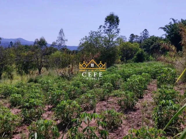 Imagem 11: Chácara à venda em Araricá, Zona Rural - Imperdível!