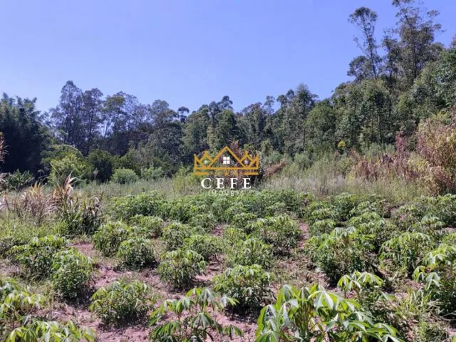 Imagem 13: Chácara à venda em Araricá, Zona Rural - Imperdível!