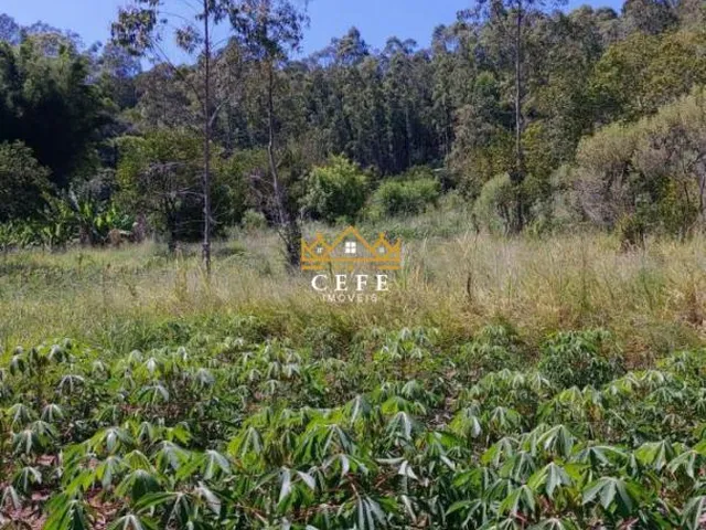 Imagem 14: Chácara à venda em Araricá, Zona Rural - Imperdível!