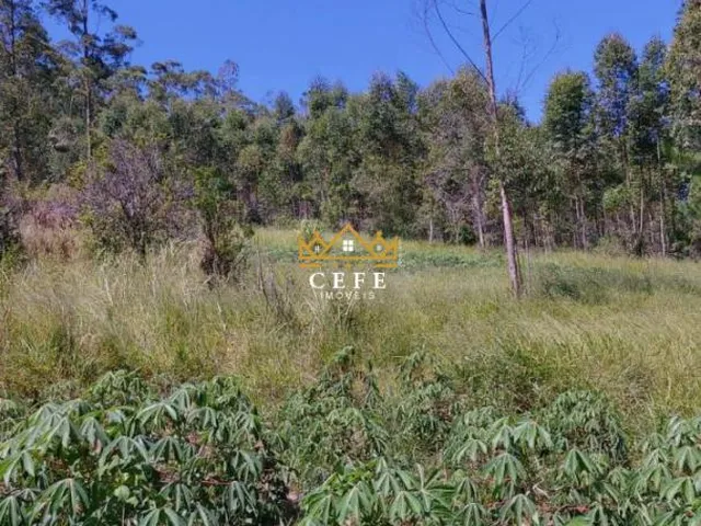 Imagem 15: Chácara à venda em Araricá, Zona Rural - Imperdível!