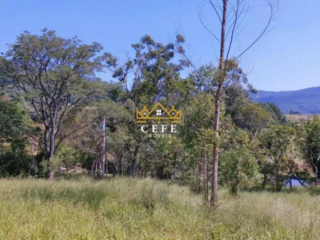 Imagem 16: Chácara à venda em Araricá, Zona Rural - Imperdível!