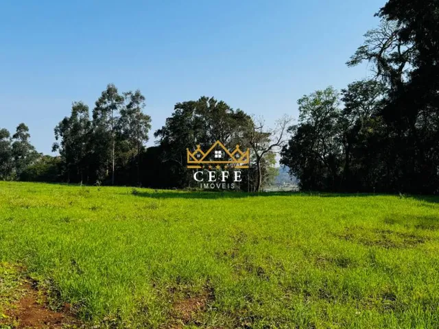 Imagem: 2 Hectares Á 3Km do Centro de Nova Hartz/Rs