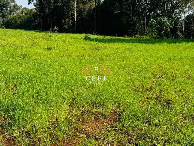 Imagem 7: 2 Hectares Á 3Km do Centro de Nova Hartz/Rs