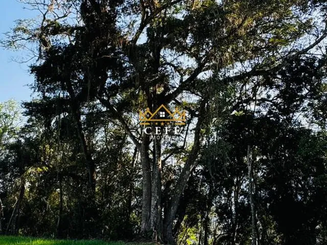Imagem 13: 2 Hectares Á 3Km do Centro de Nova Hartz/Rs