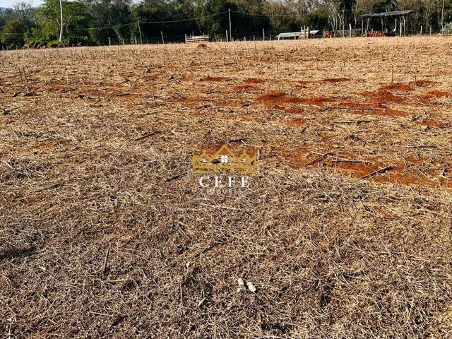 Imagem 3: Área de 2 Hectares em Nova Hartz/RS - 3km do Centro da Cidade