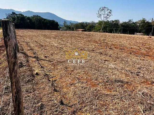 Imagem 5: Área de 2 Hectares em Nova Hartz/RS - 3km do Centro da Cidade