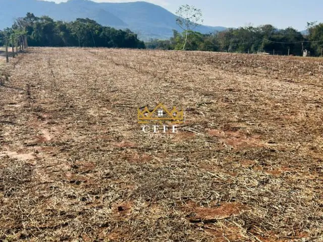 Imagem 8: Área de 2 Hectares em Nova Hartz/RS - 3km do Centro da Cidade