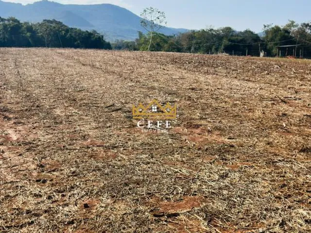 Imagem 10: Área de 2 Hectares em Nova Hartz/RS - 3km do Centro da Cidade