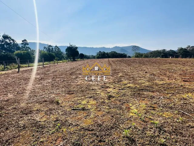 Imagem 11: Área de 2 Hectares em Nova Hartz/RS - 3km do Centro da Cidade