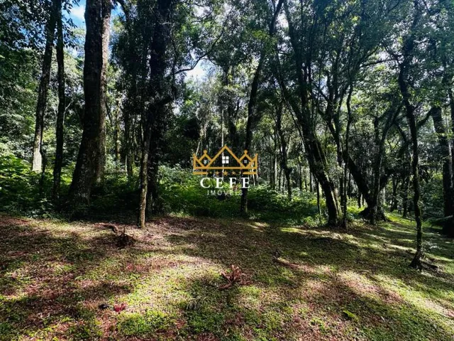 Imagem: Lindo terreno de 4700m² na Linha Imperial