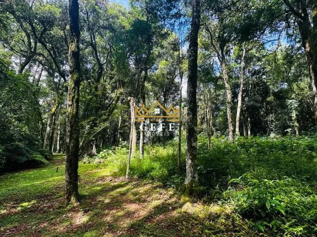 Imagem 2: Lindo terreno de 4700m² na Linha Imperial - Nova Petrópolis/RS