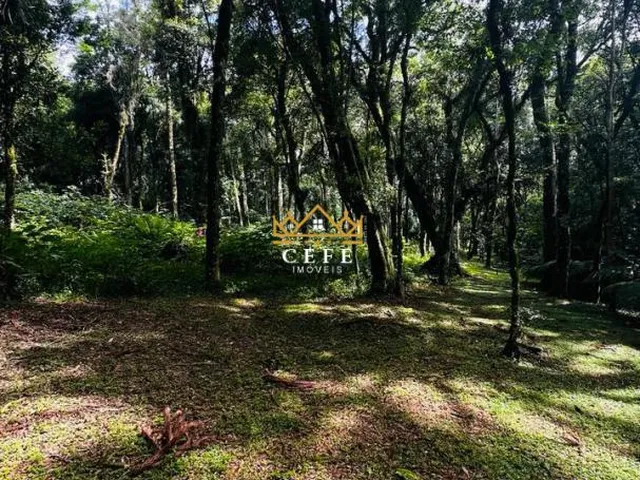 Imagem 3: Lindo terreno de 4700m² na Linha Imperial - Nova Petrópolis/RS