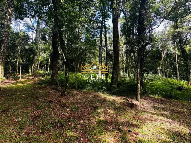 Imagem 4: Lindo terreno de 4700m² na Linha Imperial - Nova Petrópolis/RS